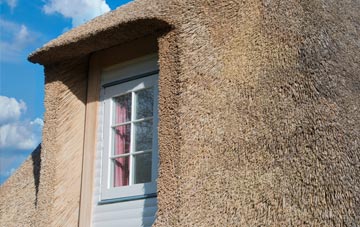 Conchra thatch roof disadvantages